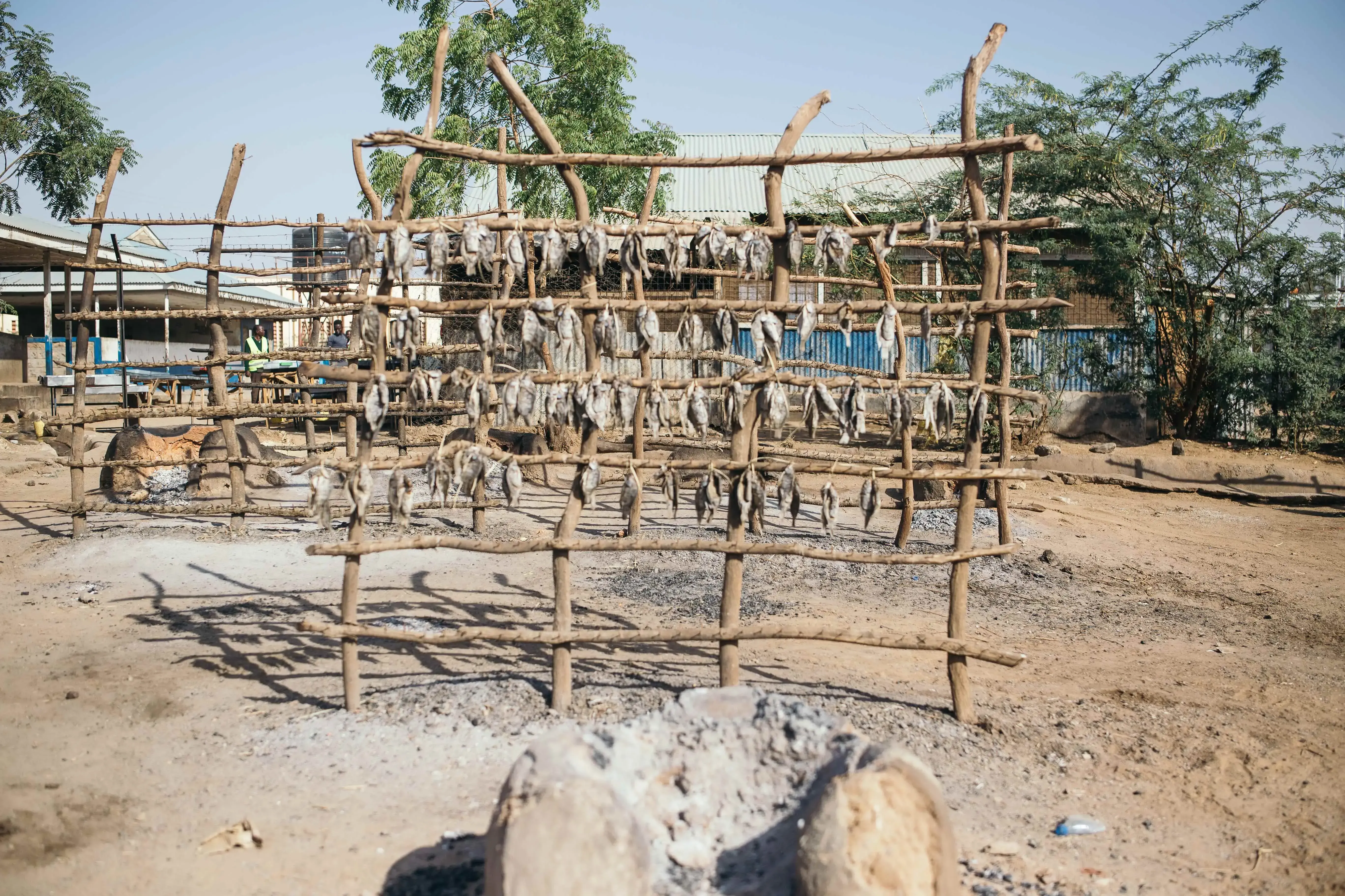 Herders Turn To Fishing In The Desert Amid Severe Drought Putting